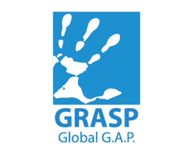 Logo de GRASP