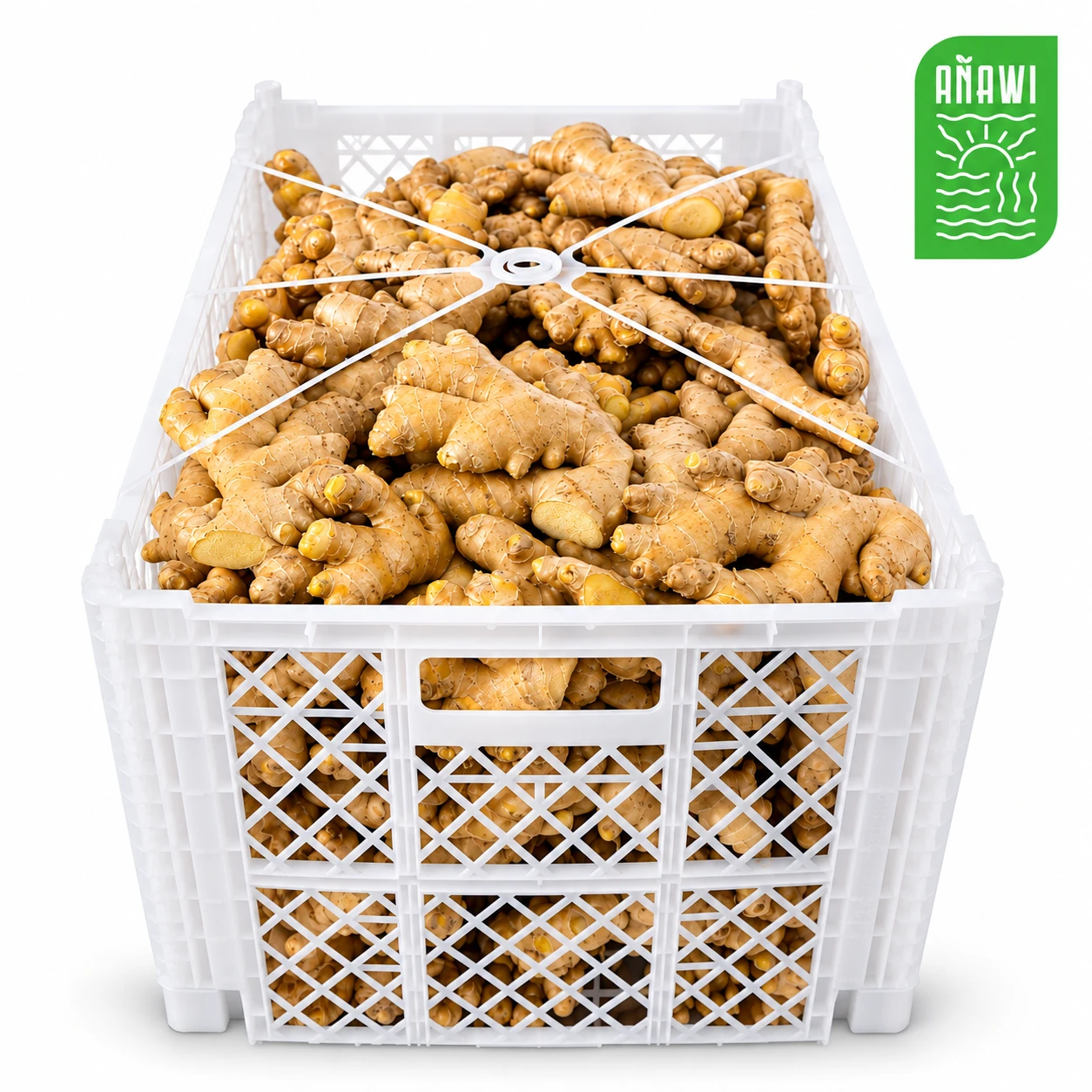 Jengibre orgánico fresco en caja plástica de 17.6 lb (8 kg)