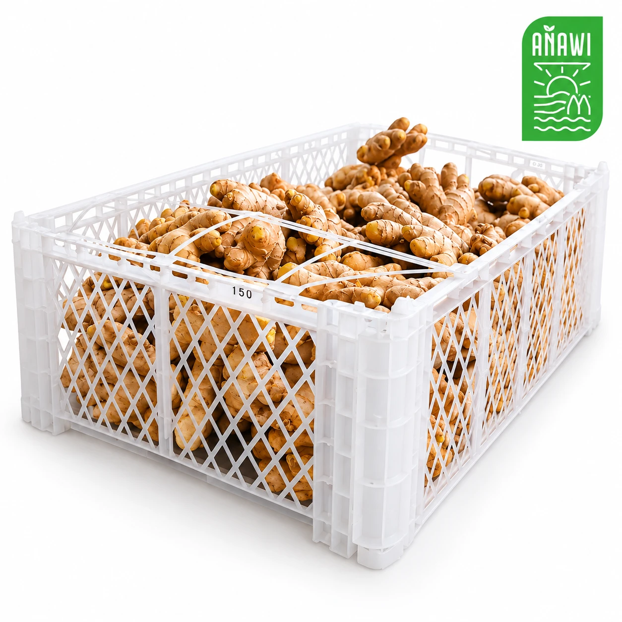 Jengibre orgánico fresco en caja de 30 lb (13.60 kg)