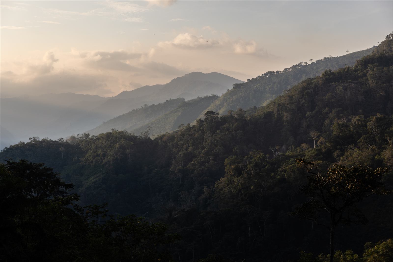 Cerros de selva alrededor de Pichanaki al amanecer