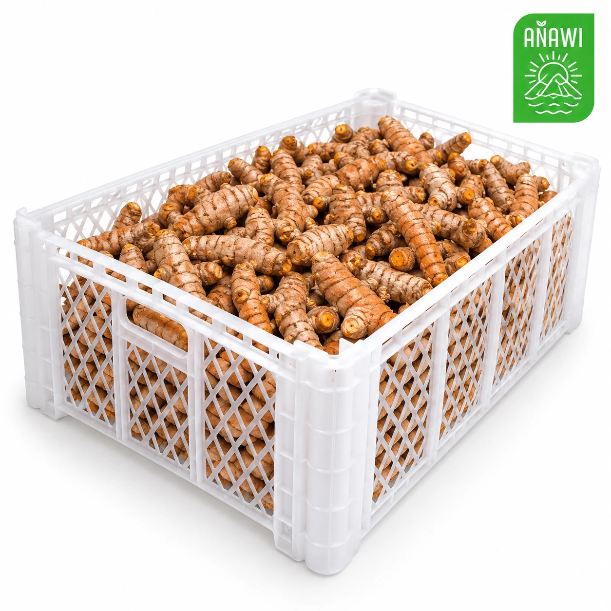 Cúrcuma orgánica fresca en caja plástica de 9 kg (19.8 lb)